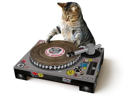 Cat DJ Turntable