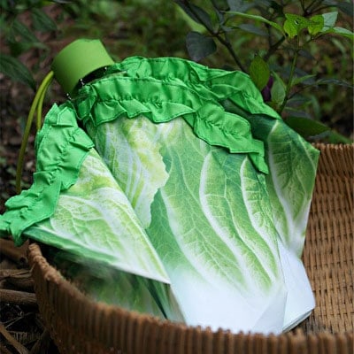 Cabbage Umbrella