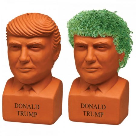 Donald Trump Chia Pet