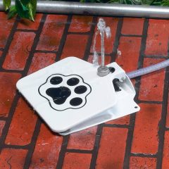 Dog Water Fountain