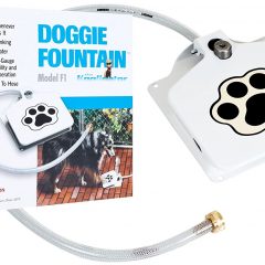 Dog Water Fountain