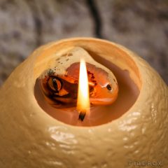 Hatching Dinosaur Egg Candle