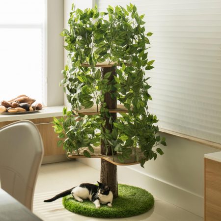 Indoor Cat Tree House