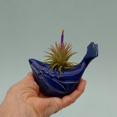 Small Whale Air Plant Holder