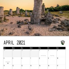 Natures Dick Pics 2021 Calendar