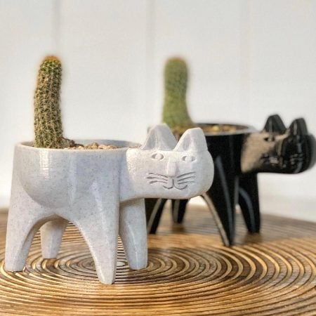 Cat Cactus Planters