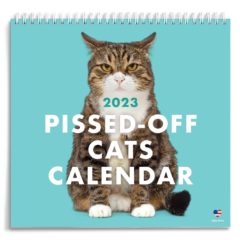 Pissed Off Cats Calendar
